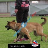 IMG_9382 (2)